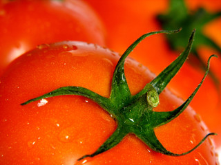 tomato