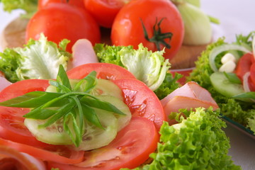 Fresh salad with onion, tomato and basil