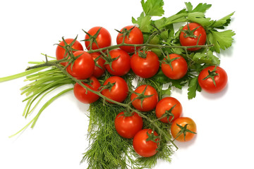 Cherry tomato with fennel and parsley