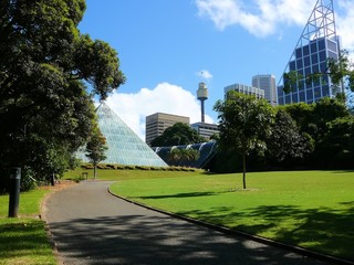 Sydney Botanischer Garten © steffenw