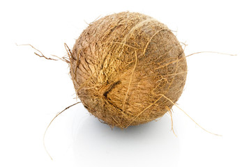 Brown inner nut of a coconut, Cocos nucifera, over white