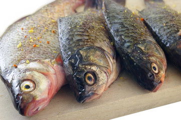 Fish