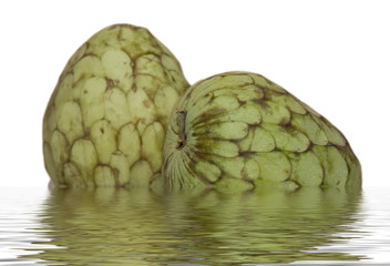 Custard Apples