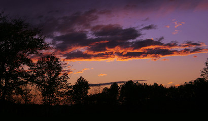 Sihouetted trees and an evening sky ablaze.