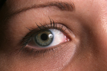 Fototapeta premium Friendly eye watching