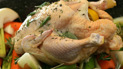 Free range chicken and vegetables ready for roasting
