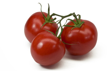 3 Strauchtomaten Draufsicht