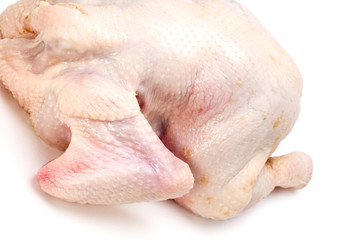object on white - food - chicken