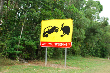 Are you speeding?