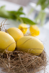 Yellow easter eggs with tulips on background