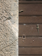 porte des l&eacute;zards