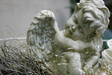 Engel