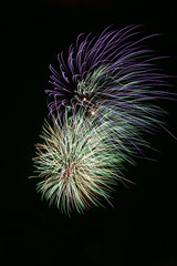 bright colorful fireworks isolated against a black sky