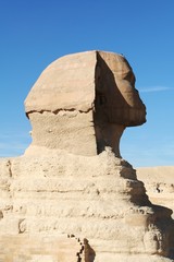 Egyptian sphinx