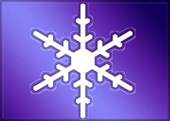 étoile des neiges