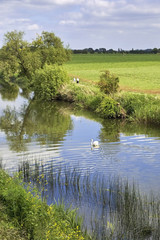 river avon stratford-upon-avon warwickshire england uk