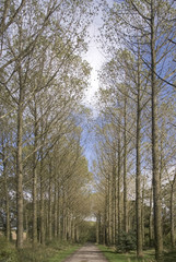 country road umberslade warwickshire fields farm farmland