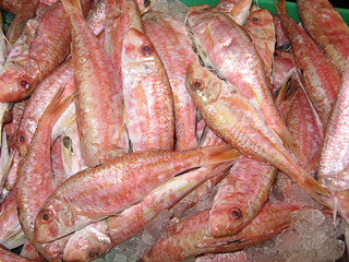 Fishmarket