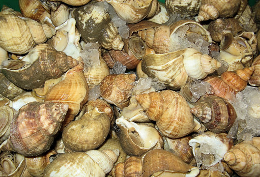 Fishmarket