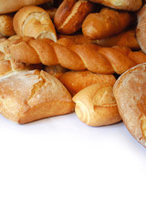 PANE misto BREAD PANINI PANI