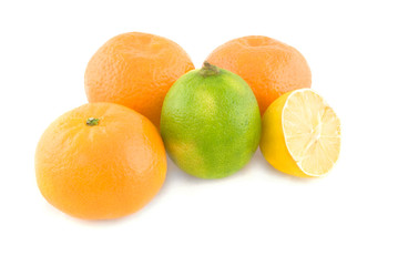 Citrus