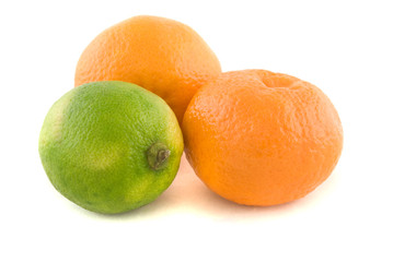 Citrus
