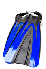 An isolated shot of a pair of flippers for diving or snorkeling © arekmalang