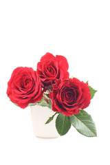 three beautiful red roses isolated on white