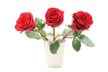three beautiful red roses isolated on white