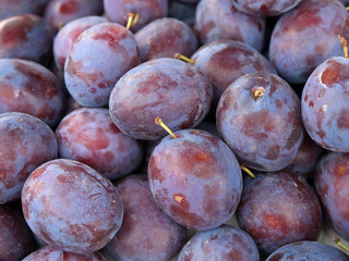Blue plums, close-up