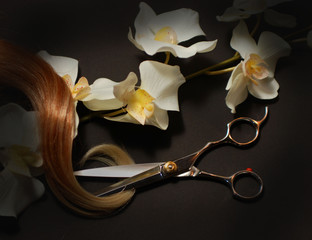 scissors dark