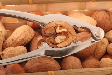 Nut
