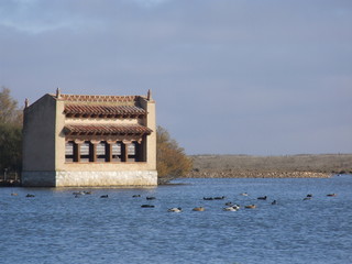observatorio de aves