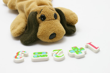 Cuddly puppy stuffed toy with arithmatic computation