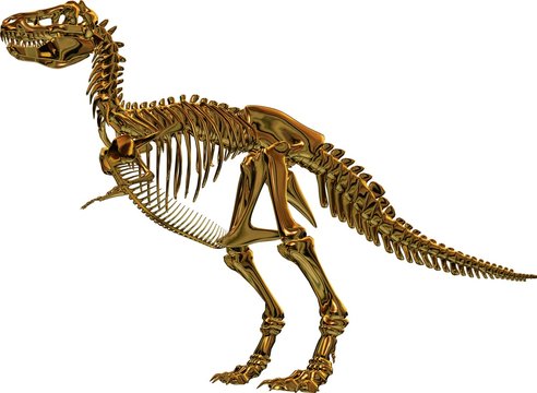 Tyrannosaurus Skelett in Gold
