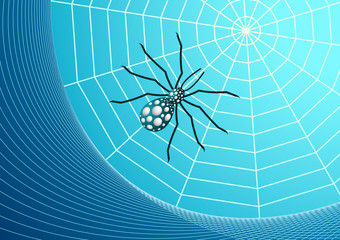 Web and spider vector illustration