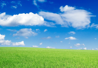 Green field, the blue sky, white clouds. A landscape.