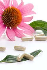 Echinacea extract pills and fresh Echinacea flowers