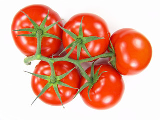 Isolated fresh tomatoes with stems close-up (vivid colors)