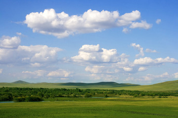 Fototapeta na wymiar Scenic grassland in summer with clouds in the sky.