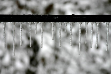 icicles