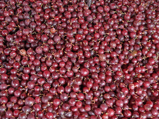 Red gooseberries in a market, close-up