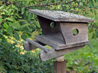 Wooden nesting-box in a garden closeup