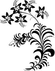 black and white flowers