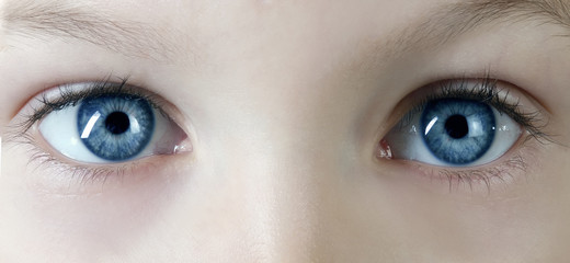 macro shot of children's blue eyes