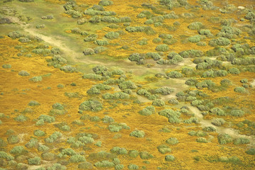 Aerial prairie landscape.