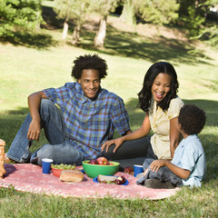 Family picnic.