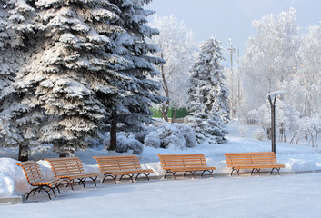 five benchs in snow winter park