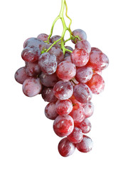 Red Grapes with drops isolated over white background