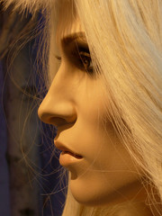 profil de blonde